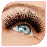 DUO 2-in-1 Brush On Striplash Adhesive