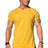 Men's Casual Short-sleeved Sports Fitness T-shirt - Lootquake