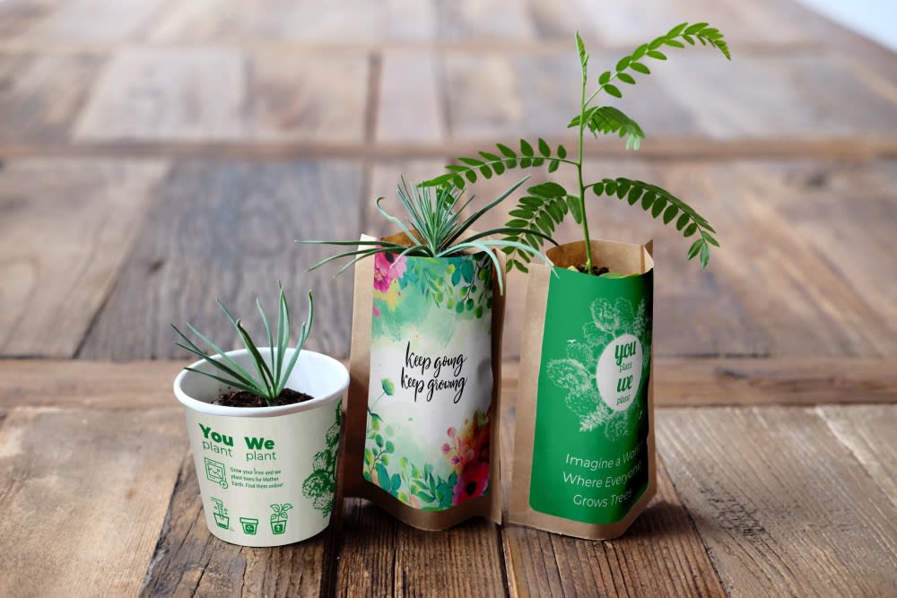 You Plant We Plant Tree Kits Happy Pack, We Plant 30 More Trees-0