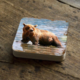 Bear Wooden Cork Coasters Gift Set of 4 by Nature Wonders - Nature Wildlife Decor  - 95297C-S4