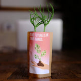 The Future Is In Our Hands Tree - Plants 100 Trees-0