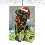 Perro de Papá Noel Flurries Fetch Fun de Laura Seeley - Decoración para perros y gatos - 8511025-LS