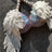 Handmade Sequined Mermaid Scale Bikini Lingerie - Lootquake