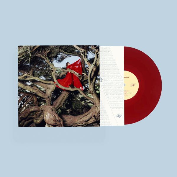 (PRE-ORDER 10/10/25) Nested In Tangles (Ruby Red Vinyl) | Mint (M) Mint (M)