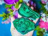 Polished Orbicular Malachite Slice