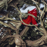 (PRE-ORDER 10/10/25) Nested In Tangles(CYPRESS SWIRL VINYL) | Mint (M) Mint (M)