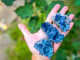 Hidden Forest Pocket Fluorite Clusters, Diana Maria Mine, Daylight Fluorescent Fluorite