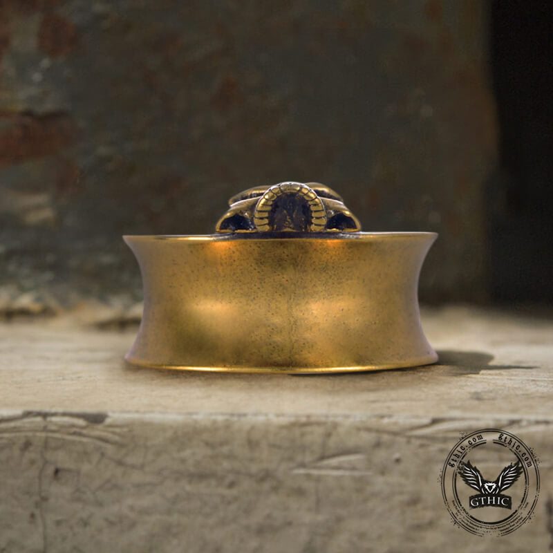 Dilatadores de oreja de túnel de latón con forma de calavera con cuernos