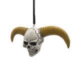 Horned Skull