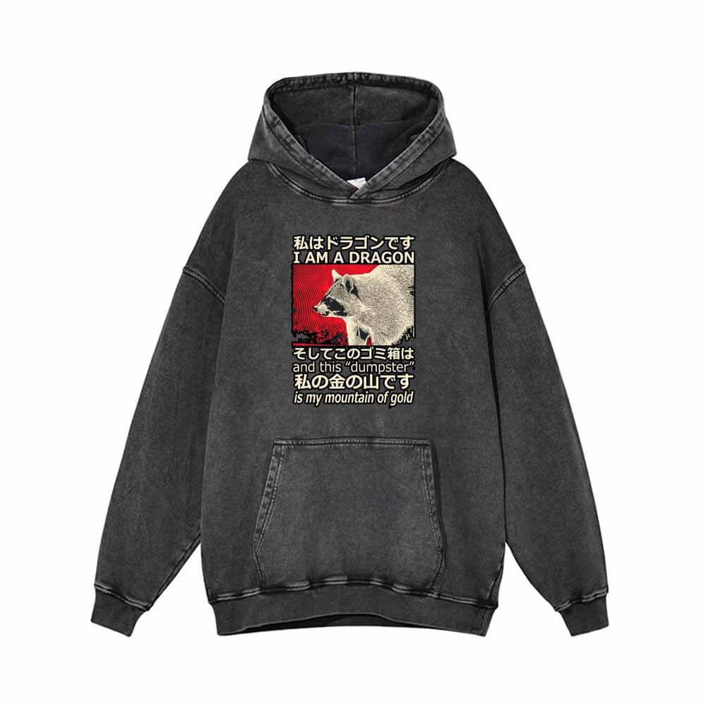 I Am A Dragon Vintage Washed Hoodie