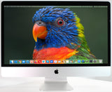 Apple 2019 iMac 5K 27-inch Desktop 3.6GHz i9 64GB RAM 1TB SSD Vega 48 GPU