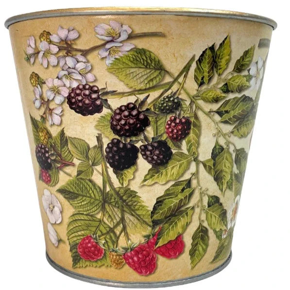 Small Berry Gift Tin Basket