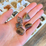 Chiastolita (Perseverancia) Desbastada