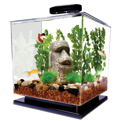 Tetra 3 Gallon Fish Tank Aquarium Starter Kit with Pedestal Base LED Light and Filter For small tropical fish guppies goldfish or betta - Lootquake