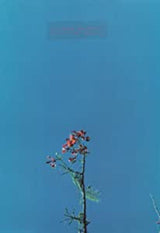 & THE YS STREET BAND EP |