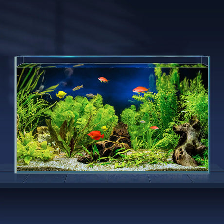 LAQUAL 10 Gallon Ultra Clear Glass Fish Tank Rimless Low Iron Aquarium for Betta/Nano/Goldfish/Snail/Shrimp Big Fish Tank & Cover Set & Feeding Ring & Cleaning Tools - Lootquake