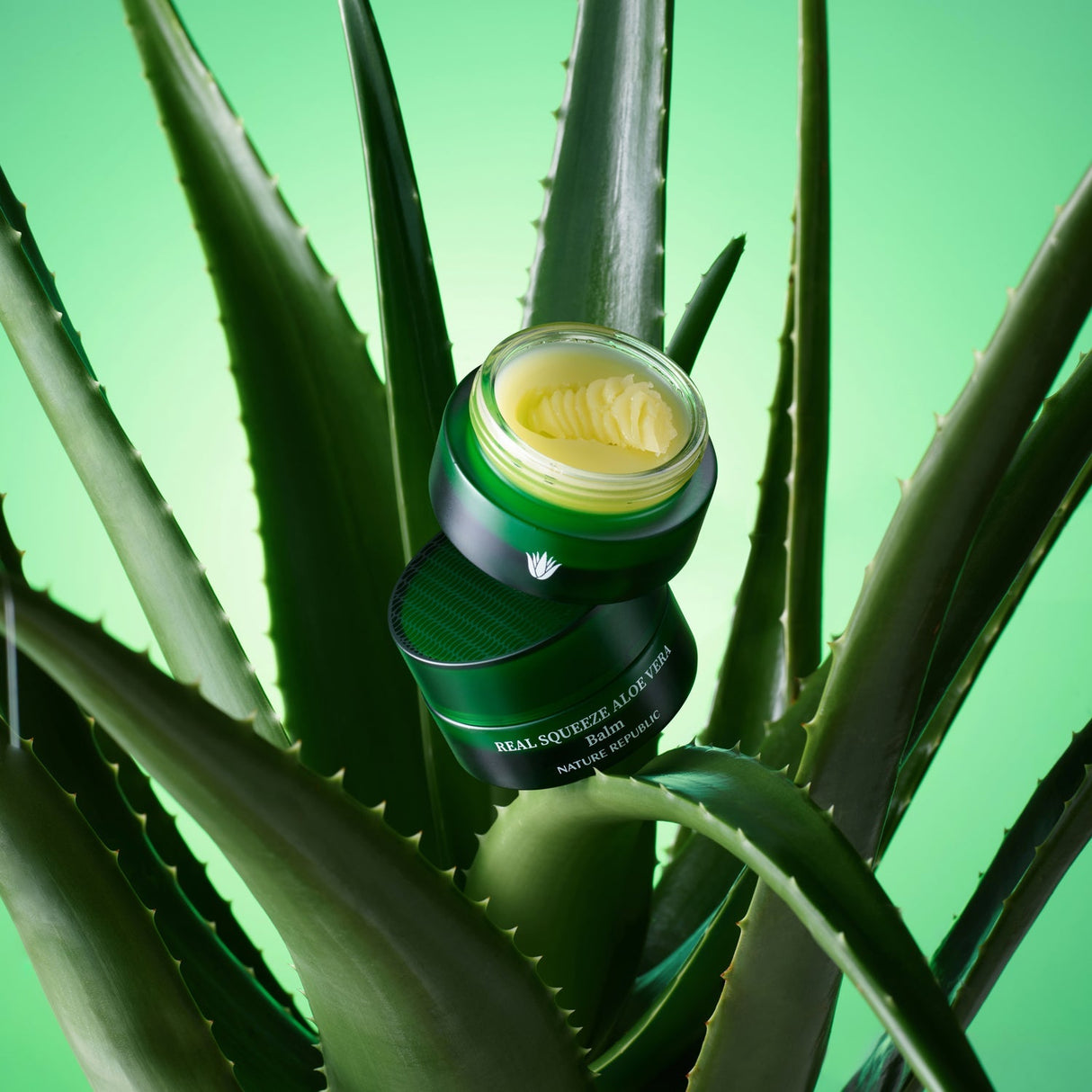 Bálsamo de aloe vera Real Squeeze