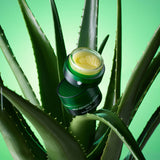 Bálsamo de aloe vera Real Squeeze