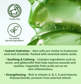 Limpiador en espuma de aloe vera suave e hidratante