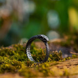 Ouroboros Snake Stainless Steel Ring