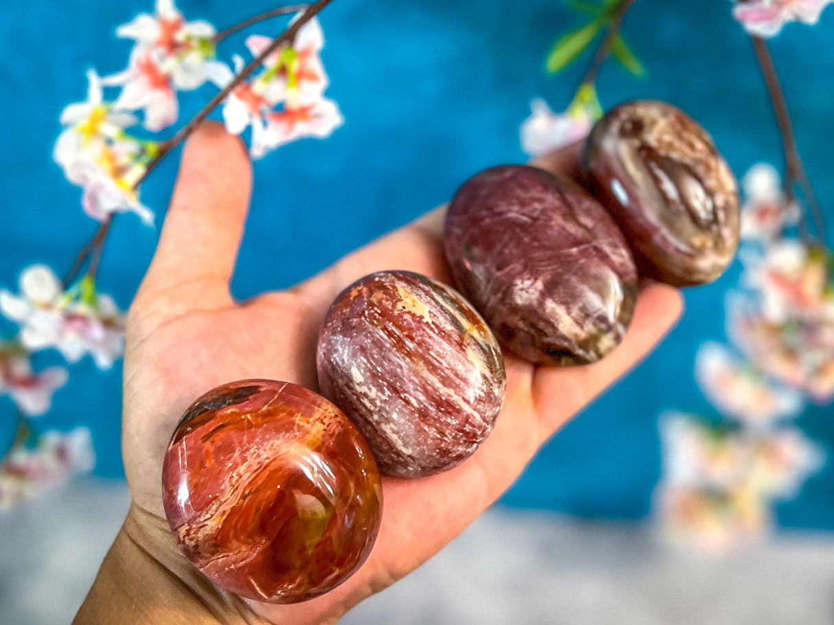 Petrified Wood Palm Stone