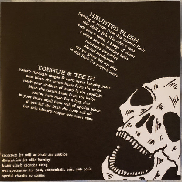 Haunted Flesh (VINYL 7") | Mint (M) Mint (M)