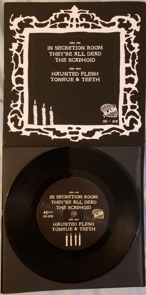 Haunted Flesh (VINYL 7") | Mint (M) Mint (M)