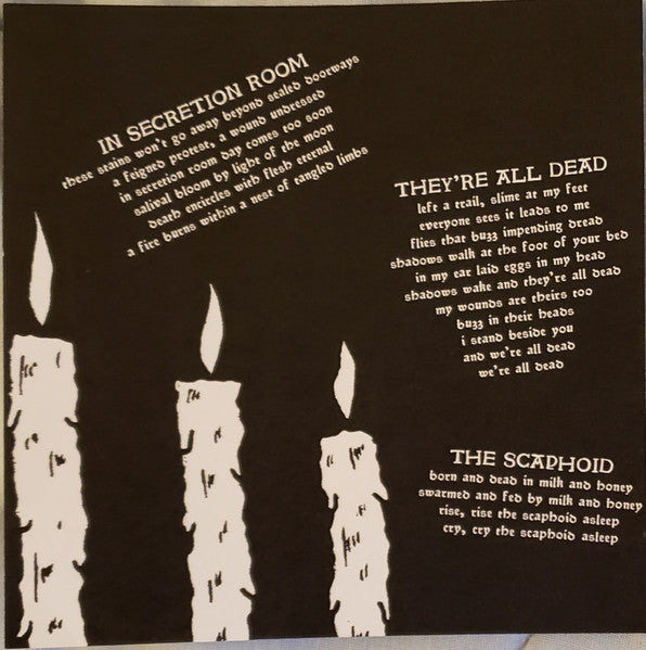 Haunted Flesh (VINYL 7") | Mint (M) Mint (M)