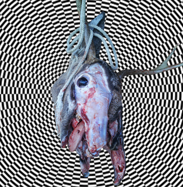 Feral King / Lonely Ghost Parade (VINYL 7") | Mint (M) Mint (M)