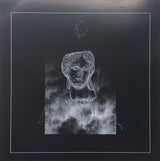 Amber / Locktender Split (VINYL 7") | Mint (M) Mint (M)