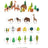 Children's Early Education Cognitive Toys - Lootquake
