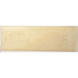 Rare 1910s Salem County Tomato Label Defies Time