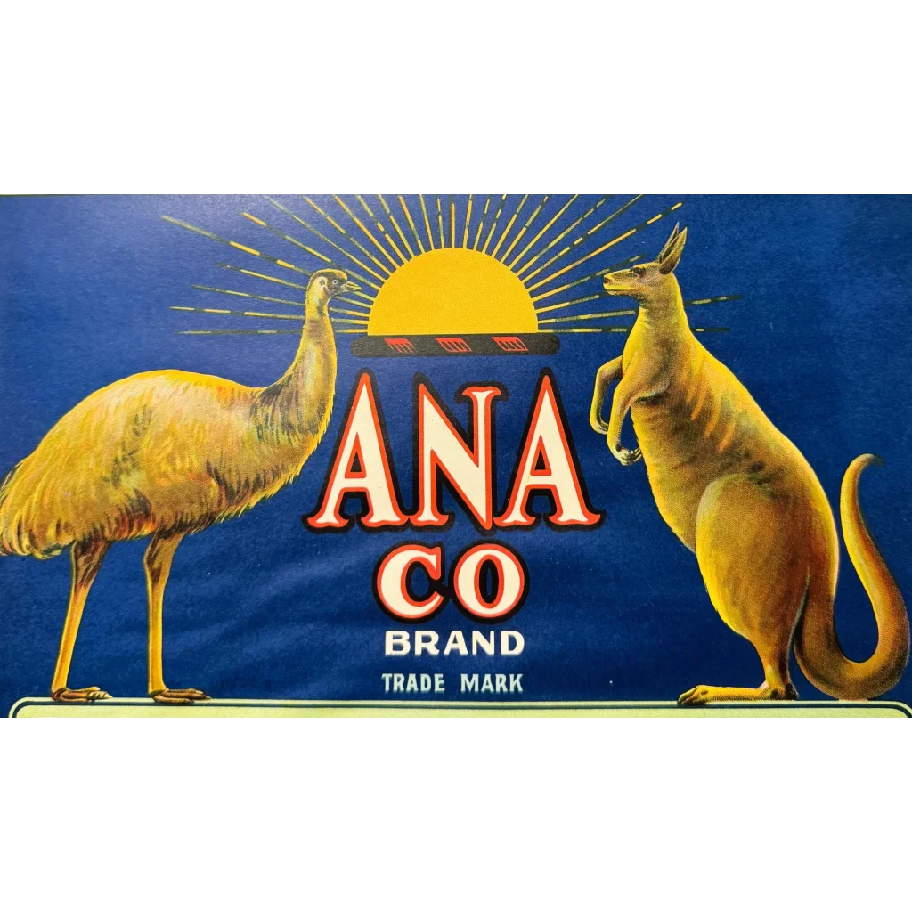 Rare 1920s Ana Emu Label from San Francisco's Aussie Trading