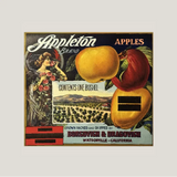 Rare 1920s Appleton Crate Label Brings Vintage Charm to Life