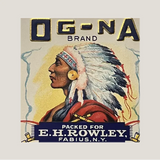 Rare 1920s Native American Antique Gold Label from Fabius NY