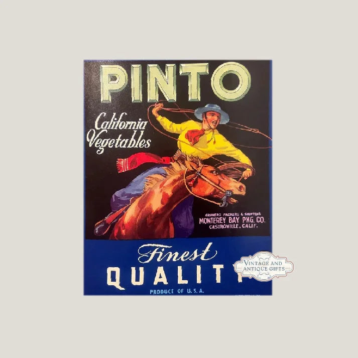 Rare 1930s Cowboy Rodeo Pinto Crate Label from Castroville