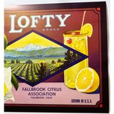 Rare 1930s Lofty Lemons Vintage Crate Label from Fallbrook