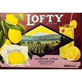 Rare 1930s Lofty Lemons Vintage Crate Label from Fallbrook