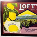 Rare 1930s Lofty Lemons Vintage Crate Label from Fallbrook