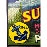 Rare 1930s Mountain Bartlett Pears Vintage Crate Label