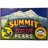 Rare 1930s Mountain Bartlett Pears Vintage Crate Label