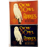 Rare 1930s Snow Owl Apple Crate Label from Yakima Washington