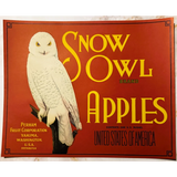 Rare 1930s Snow Owl Apple Crate Label from Yakima Washington