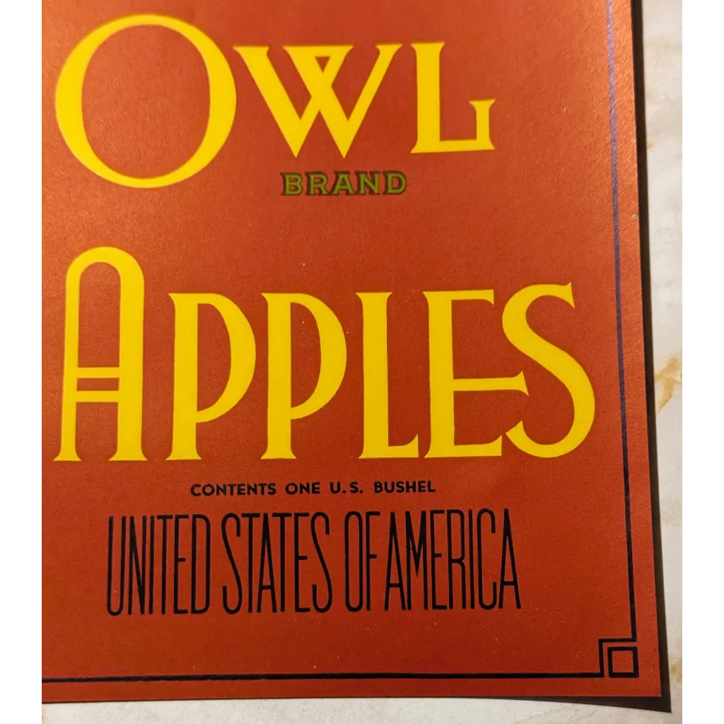 Rare 1930s Snow Owl Apple Crate Label from Yakima Washington