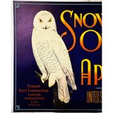 Rare 1930s Snow Owl Apple Crate Label from Yakima Washington