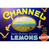 Rare 1940s Channel Lemons Label from Santa Barbara County