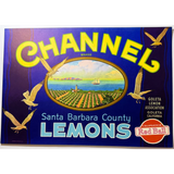 Rare 1940s Channel Lemons Label from Santa Barbara County