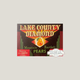 Rare 1940s Lake County Diamond Antique Vintage Crate Label