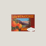 Rare 1940s Lake Wenatchee Antique Crate Label Captures Scenic Beauty