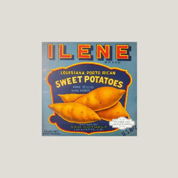 Rare 1940s Louisiana Antique Vintage Crate Label Collector's Gem